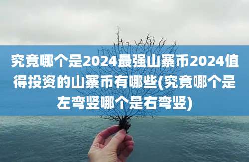 究竟哪个是2024最强山寨币2024值得投资的山寨币有哪些(究竟哪个是左弯竖哪个是右弯竖)