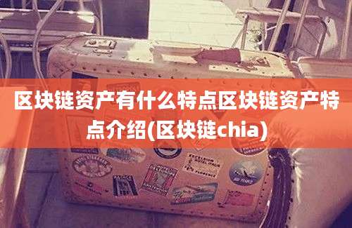 区块链资产有什么特点区块链资产特点介绍(区块链chia)