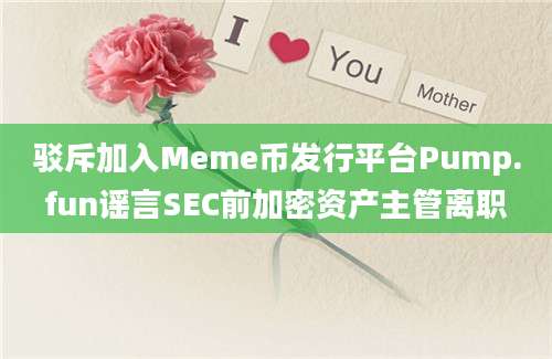 驳斥加入Meme币发行平台Pump.fun谣言SEC前加密资产主管离职