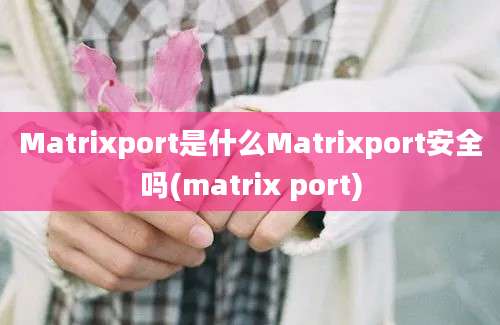 Matrixport是什么Matrixport安全吗(matrix port)