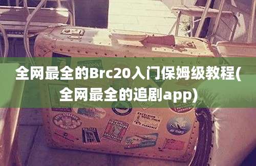 全网最全的Brc20入门保姆级教程(全网最全的追剧app)