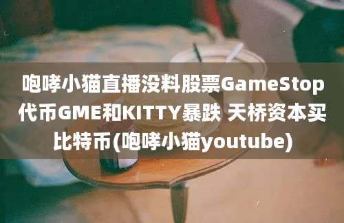 咆哮小猫直播没料股票GameStop代币GME和KITTY暴跌 天桥资本买比特币(咆哮小猫youtube)