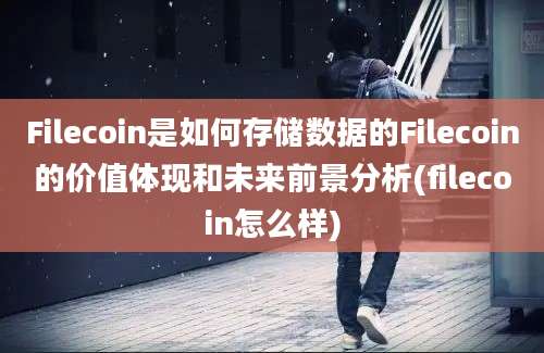 Filecoin是如何存储数据的Filecoin的价值体现和未来前景分析(filecoin怎么样)