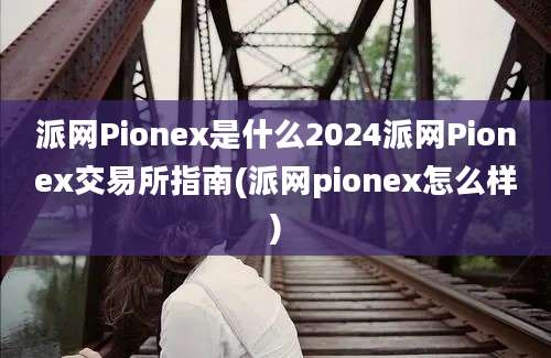 派网Pionex是什么2024派网Pionex交易所指南(派网pionex怎么样)