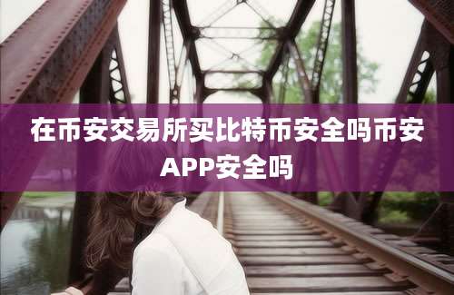 在币安交易所买比特币安全吗币安APP安全吗