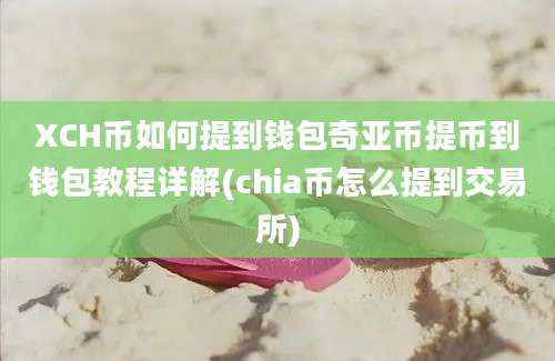 XCH币如何提到钱包奇亚币提币到钱包教程详解(chia币怎么提到交易所)