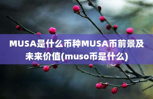 MUSA是什么币种MUSA币前景及未来价值(muso币是什么)