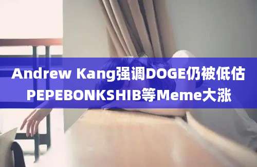 Andrew Kang强调DOGE仍被低估PEPEBONKSHIB等Meme大涨