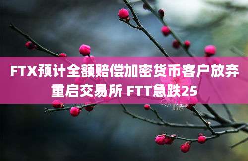 FTX预计全额赔偿加密货币客户放弃重启交易所 FTT急跌25