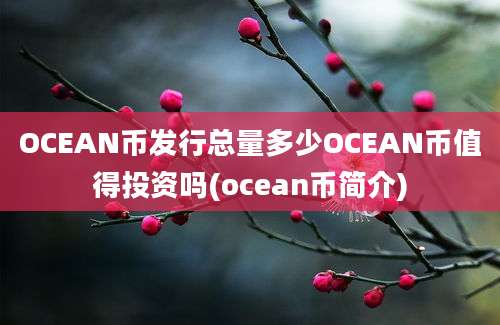 OCEAN币发行总量多少OCEAN币值得投资吗(ocean币简介)