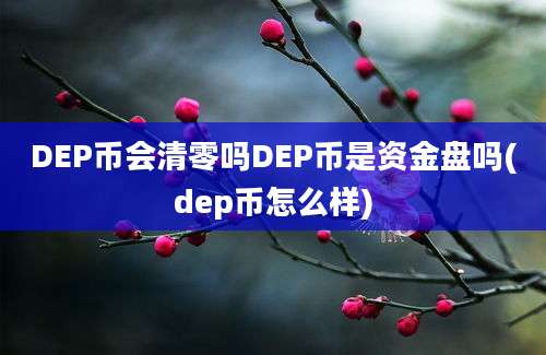 DEP币会清零吗DEP币是资金盘吗(dep币怎么样)