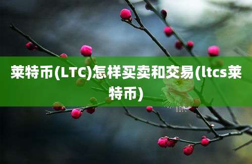 莱特币(LTC)怎样买卖和交易(ltcs莱特币)