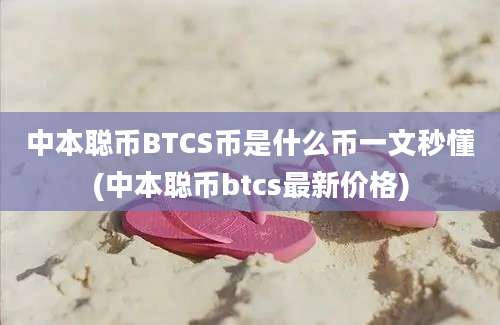 中本聪币BTCS币是什么币一文秒懂(中本聪币btcs最新价格)