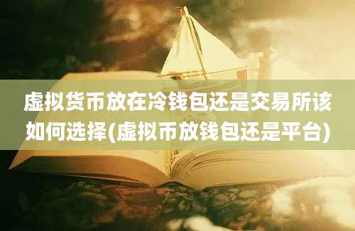 虚拟货币放在冷钱包还是交易所该如何选择(虚拟币放钱包还是平台)