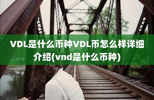 VDL是什么币种VDL币怎么样详细介绍(vnd是什么币种)