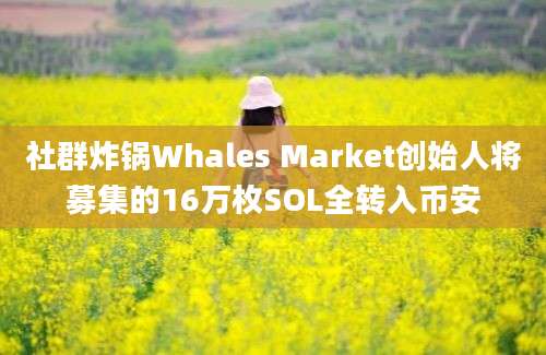 社群炸锅Whales Market创始人将募集的16万枚SOL全转入币安