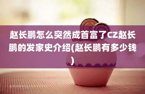 赵长鹏怎么突然成首富了CZ赵长鹏的发家史介绍(赵长鹏有多少钱)