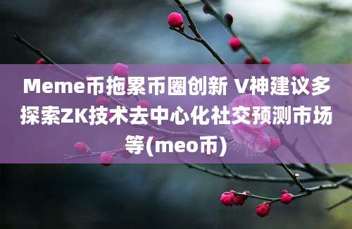 Meme币拖累币圈创新 V神建议多探索ZK技术去中心化社交预测市场等(meo币)