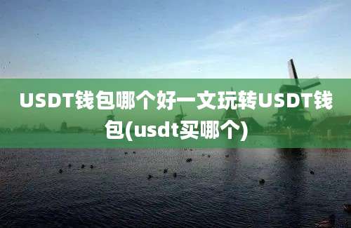 USDT钱包哪个好一文玩转USDT钱包(usdt买哪个)