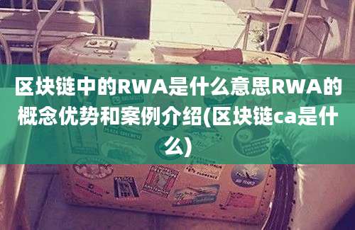 区块链中的RWA是什么意思RWA的概念优势和案例介绍(区块链ca是什么)