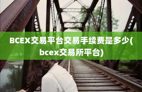 BCEX交易平台交易手续费是多少(bcex交易所平台)