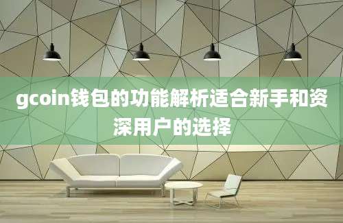 gcoin钱包的功能解析适合新手和资深用户的选择