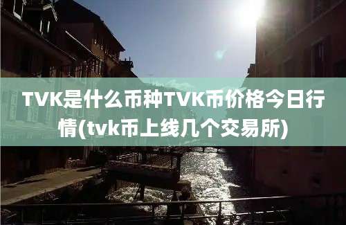 TVK是什么币种TVK币价格今日行情(tvk币上线几个交易所)