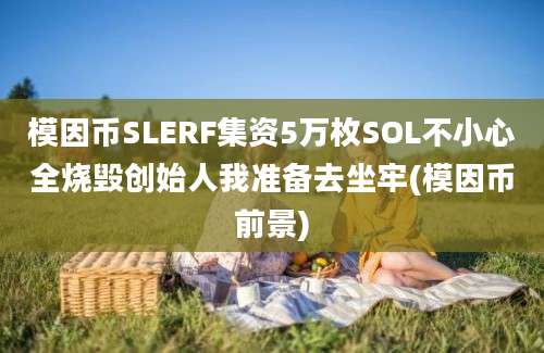 模因币SLERF集资5万枚SOL不小心全烧毁创始人我准备去坐牢(模因币前景)