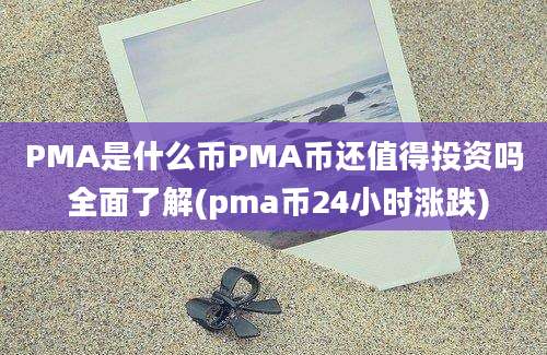 PMA是什么币PMA币还值得投资吗 全面了解(pma币24小时涨跌)