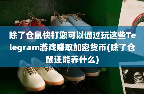 除了仓鼠快打您可以通过玩这些Telegram游戏赚取加密货币(除了仓鼠还能养什么)