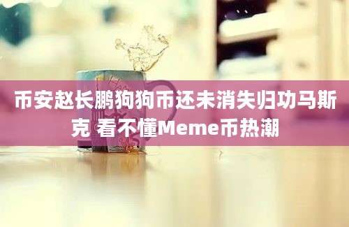 币安赵长鹏狗狗币还未消失归功马斯克 看不懂Meme币热潮