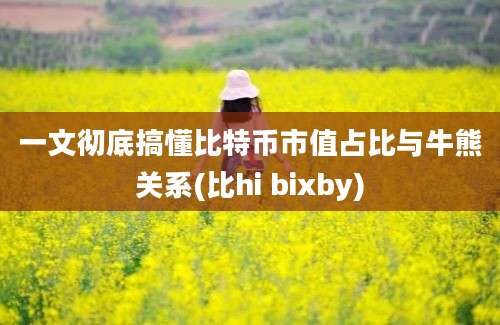 一文彻底搞懂比特币市值占比与牛熊关系(比hi bixby)