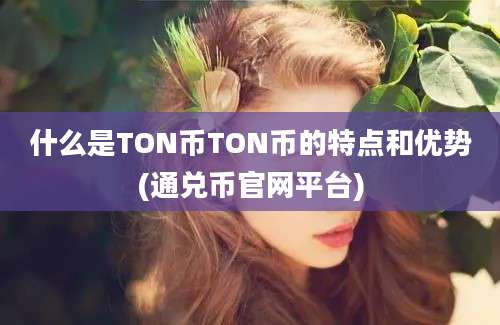 什么是TON币TON币的特点和优势(通兑币官网平台)