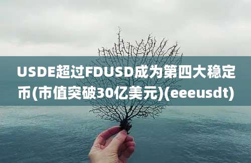 USDE超过FDUSD成为第四大稳定币(市值突破30亿美元)(eeeusdt)