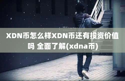 XDN币怎么样XDN币还有投资价值吗 全面了解(xdna币)