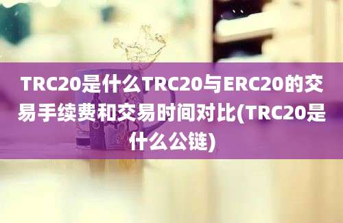 TRC20是什么TRC20与ERC20的交易手续费和交易时间对比(TRC20是什么公链)