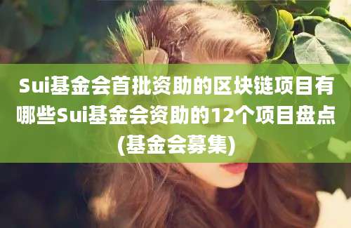 Sui基金会首批资助的区块链项目有哪些Sui基金会资助的12个项目盘点(基金会募集)