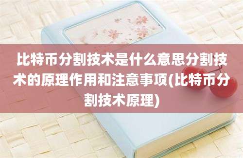 比特币分割技术是什么意思分割技术的原理作用和注意事项(比特币分割技术原理)