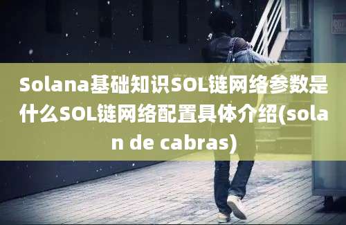 Solana基础知识SOL链网络参数是什么SOL链网络配置具体介绍(solan de cabras)