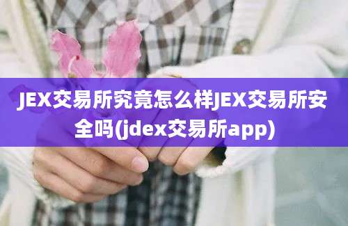 JEX交易所究竟怎么样JEX交易所安全吗(jdex交易所app)