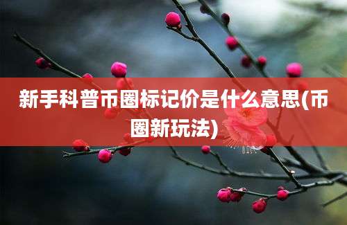 新手科普币圈标记价是什么意思(币圈新玩法)