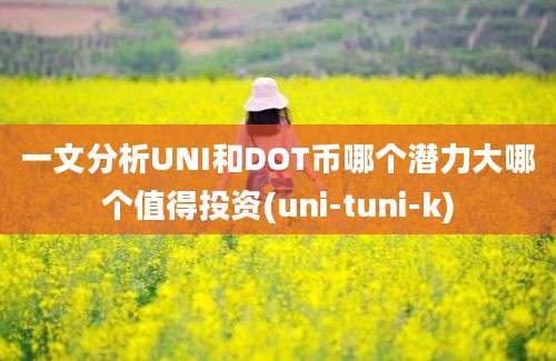 一文分析UNI和DOT币哪个潜力大哪个值得投资(uni-tuni-k)