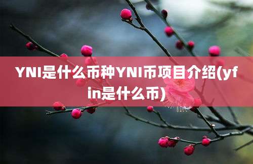 YNI是什么币种YNI币项目介绍(yfin是什么币)