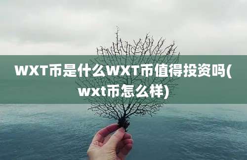 WXT币是什么WXT币值得投资吗(wxt币怎么样)