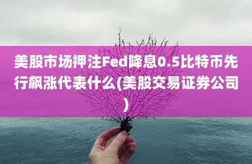 美股市场押注Fed降息0.5比特币先行飙涨代表什么(美股交易证券公司)