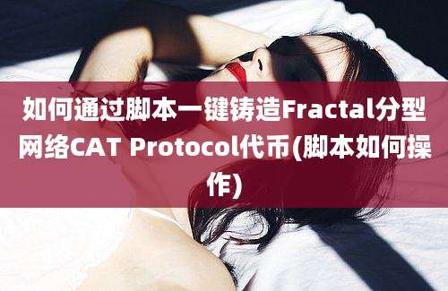 如何通过脚本一键铸造Fractal分型网络CAT Protocol代币(脚本如何操作)