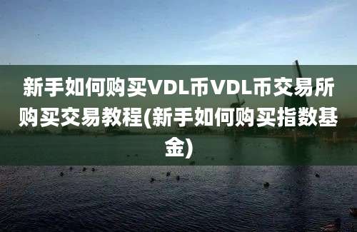 新手如何购买VDL币VDL币交易所购买交易教程(新手如何购买指数基金)