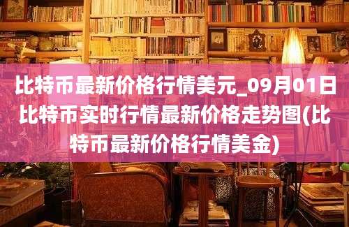 比特币最新价格行情美元_09月01日比特币实时行情最新价格走势图(比特币最新价格行情美金)