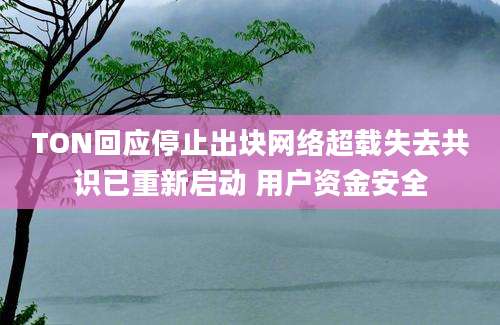 TON回应停止出块网络超载失去共识已重新启动 用户资金安全