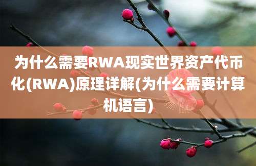 为什么需要RWA现实世界资产代币化(RWA)原理详解(为什么需要计算机语言)